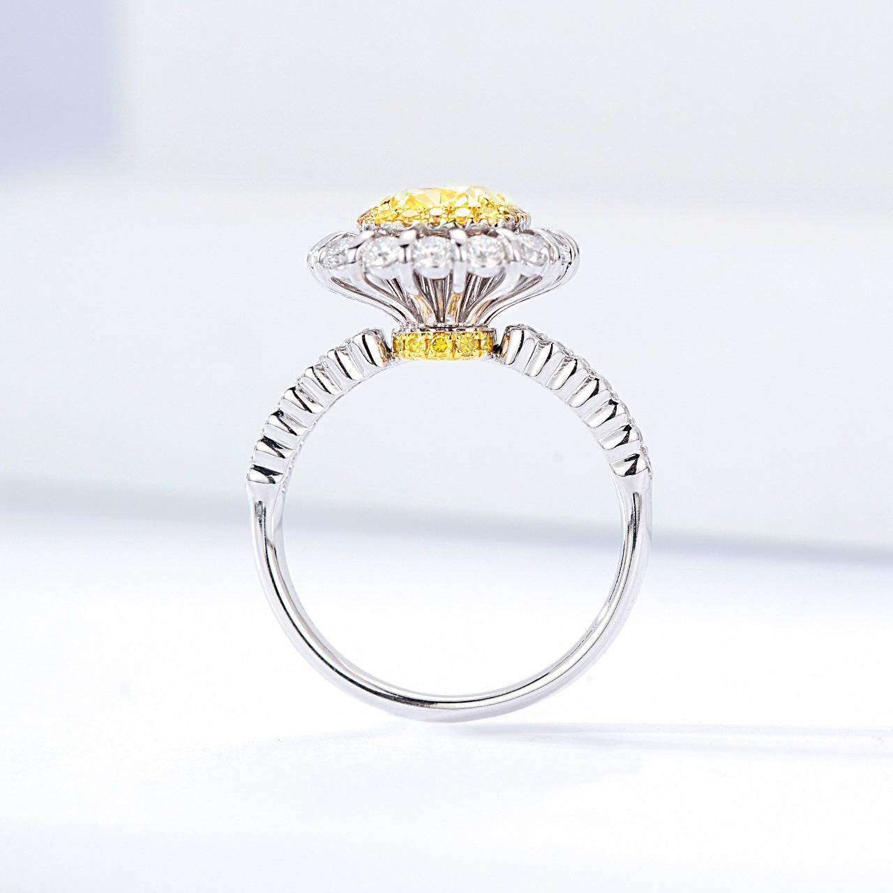 Cushion Cut Yellow Diamond Double Halo Engagement Ring with Pavé Accents -Top View